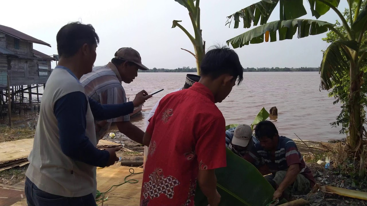  Potong  kambing hari raya idul  adha  2021 YouTube