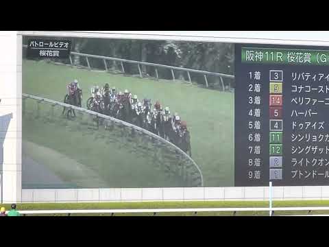桜花賞 2023 パトロールフィルム 阪神競馬場ターフビジョンから