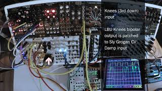 Steady clock to shuffling gates (short demo, no talking) [NLC Eurorack] (May 28, 2026) {Zoom Q8}