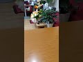 やっと逢えたね 中条きよしさん
