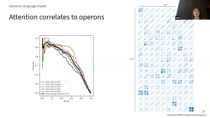Shedding light on functional dark matter with genomic language modeling