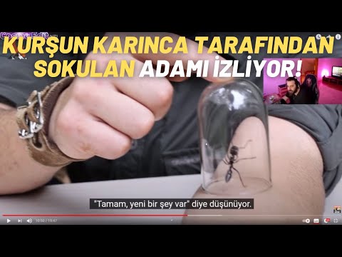 ELRAENN | KURŞUN KARINCA TARAFINDAN SOKULAN ADAMI İZLİYOR !!