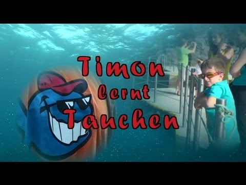 Timon lernt Tauchen