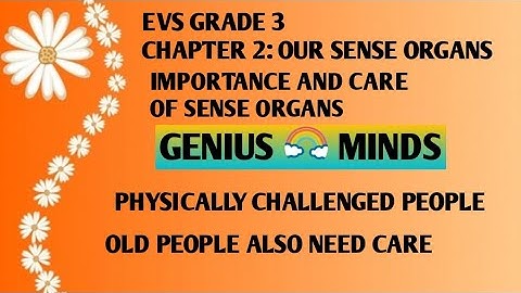 EVS : Grade 3/ Part1: Chapter 2: Our sense organs/physically challenged people, care of old people.