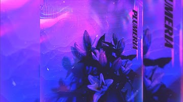 01. Issjames - Plumeria (Official Audio)