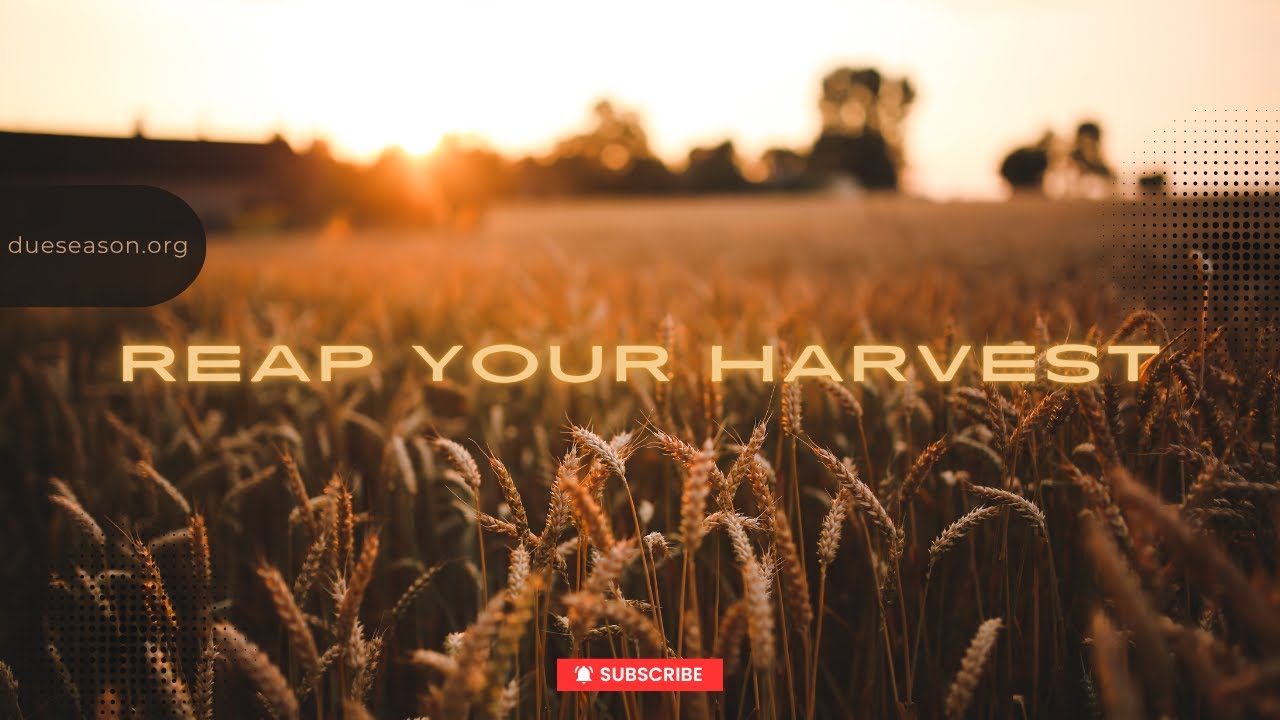 Reap Your Harvest