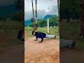 Mentality is Everything 🏃🤸#pushups