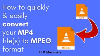 How to convert your MP4 files to MPEG format quickly & easily (PC & Mac) screenshot 2