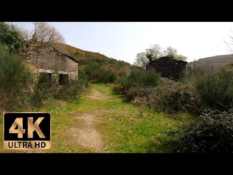 Ghost Town in Galicia, Exploring Alone an Abandoned Village in the Forest, Hiking Alone 4k, Part I