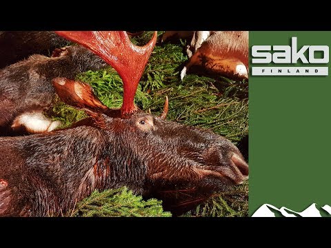 Sako factory tour and driven hunt