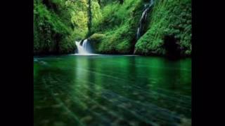 Celebrity Modest Mouse-Float On [K Theory Remix] Profile