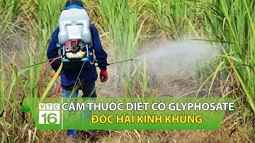 Cấm thuốc diệt cỏ Glyphosate: Độc hại kinh khủng | VTC16