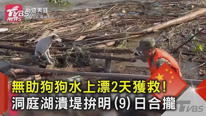 習下令後 洞庭湖潰堤合攏倒數計時 拚7/9中午「務必」合攏｜TVBS新聞