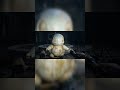 Phantom in the Abandoned Darkness