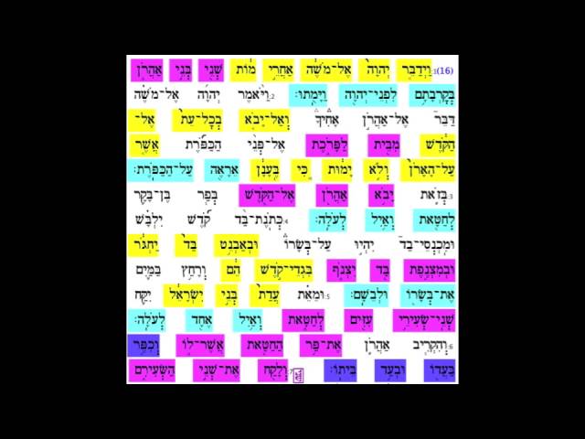 Acharei Sentence 5