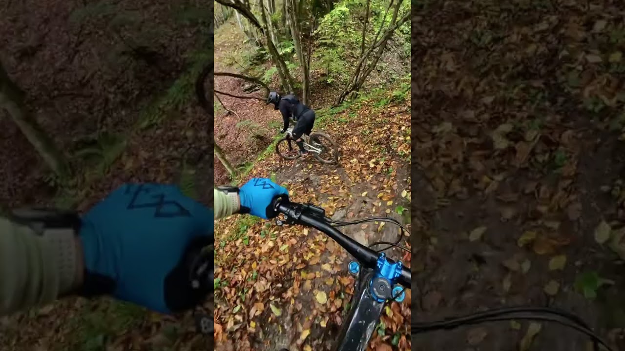 Сегодня на Стоун Кинг весело и скользко! 