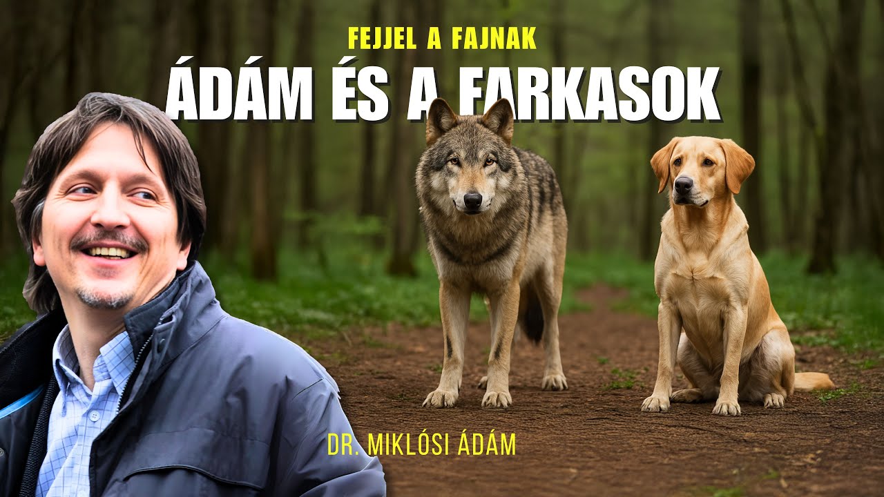 Адам и волки. Как был приручен волк?