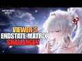 Viewer's Endstate Matrix Challenge | Wuthering Waves