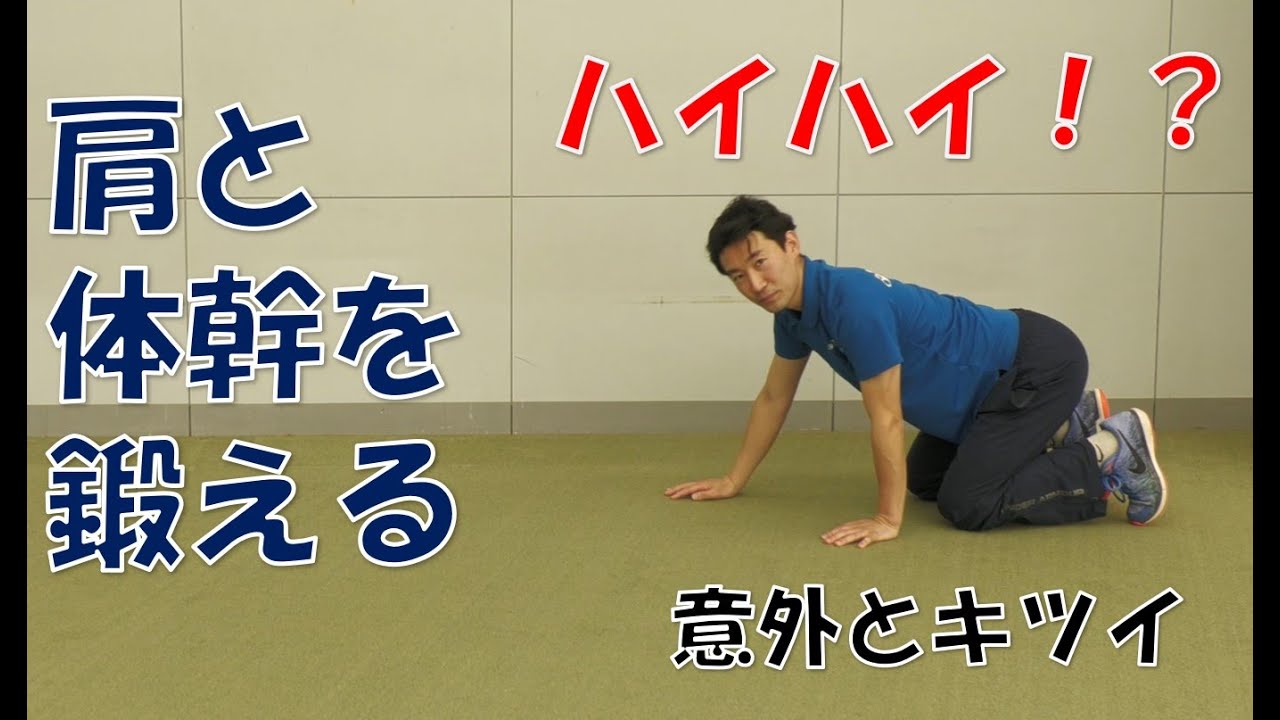 家トレ ハイハイで肩と体幹を鍛える テニスユニバース Youtube