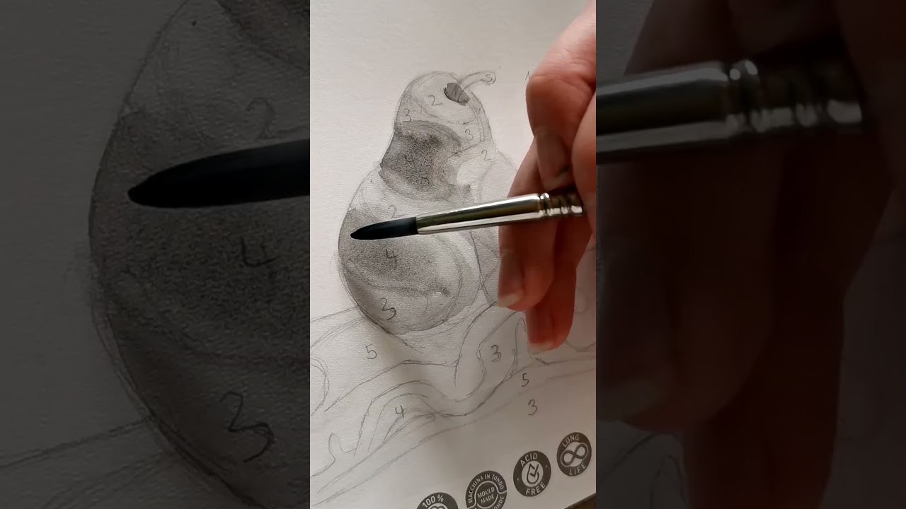 Watercolor Still Life Study - Pear 