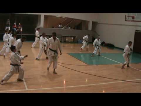 Karate Seminar with Malcom Dorfman 8th Dan