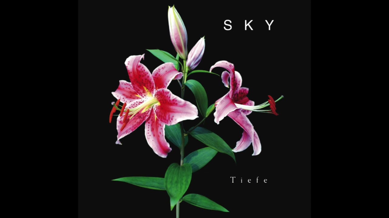 Guarda SKY - Tiefe su YouTube Guarda SKY - Tiefe su YouTube