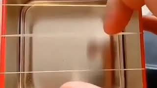 Rubber band guitar..