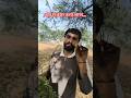desi natural green chane...#farmer #funny #comedy #viral #fly #funny #gas #funnymoment #funnyideas