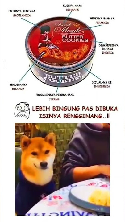 Setoriy wa 30 detik lucu terbaru🤙