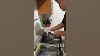 Saya dan Kebiasaan Saya