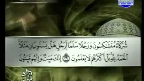 سورة الزمر كاملة الشيخ توفيق الصائغ