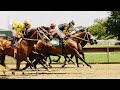 Pro || Horse Racing vs Harness Racing