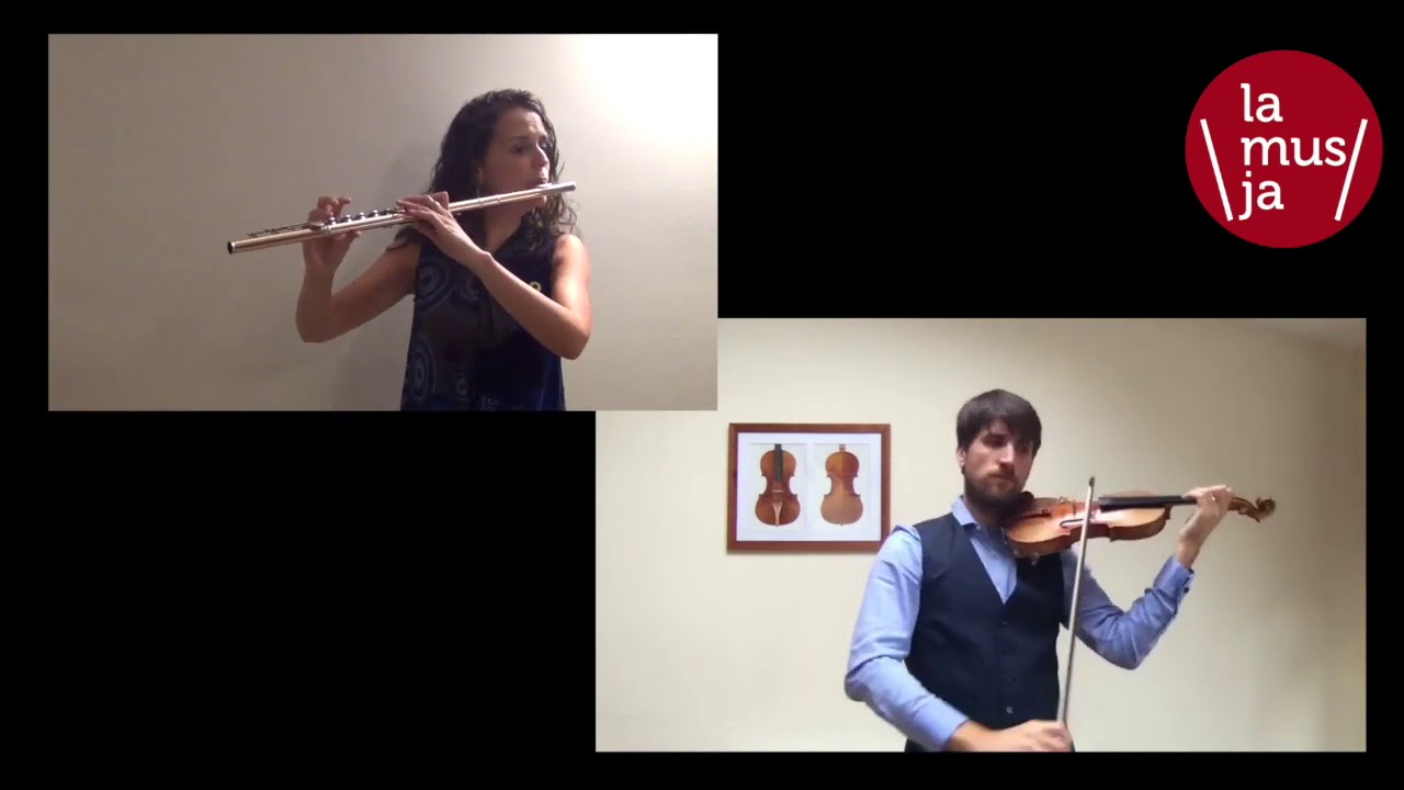 Magic Flute Arias for flute and violin brand new video! YouTube