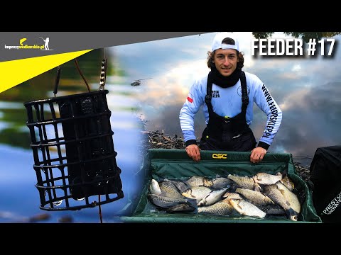 Wideo: Jak łowić Na Osiołku