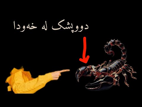 دووپشک لە خەودا وەڵامی خەو