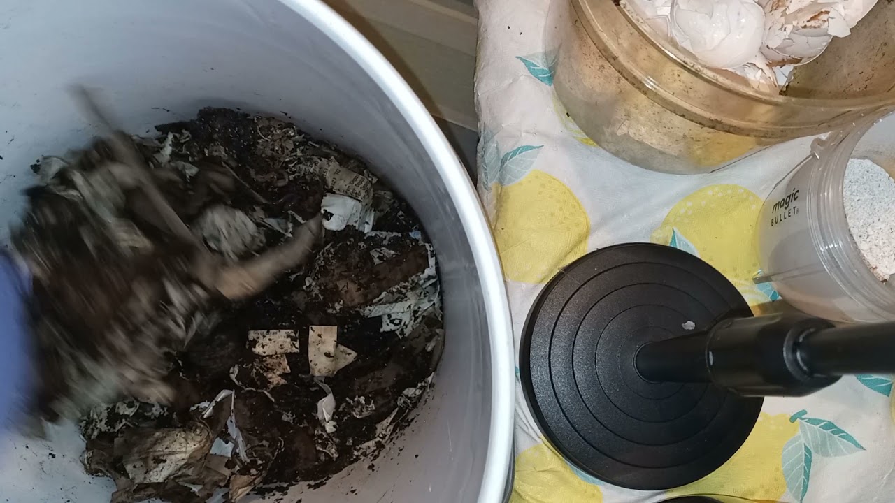 White buckets check in.