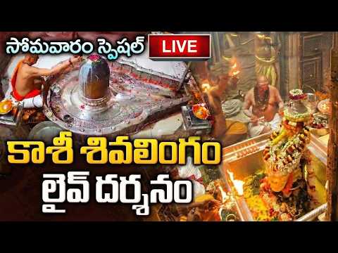LIVE: సోమవారం రోజు కాశీ శివ లింగం లైవ్ దర్శనం | Kashi Shiva Lingam Live Darshanam | Lord Shiva Songs