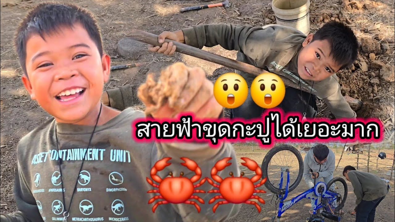 น้องสายฟ้าขุดกับปูได้เยอะมากวันนี้🦀😲😲7 มีนาคม ค.ศ. 2026