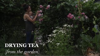 CREATING YOUR OWN GARDEN TEA BLENDS and a walk through one of the gardens  🫖☕️