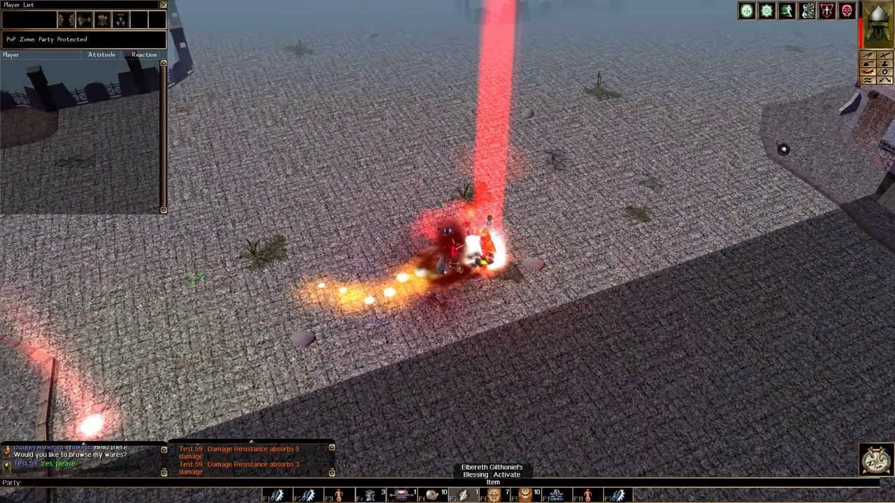 NWN, Team PvP Server: Alestorm LotR, 37th Killing Boss, Or Class: Dwarven Defender In Action