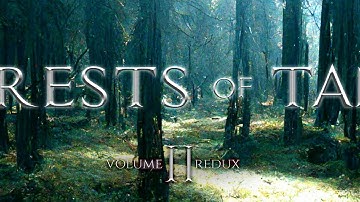 [Vol. 2] - Jeremy Soule (Skyrim) — “In The Forests of Tamriel” Redux [Extended] (1 Hr.)