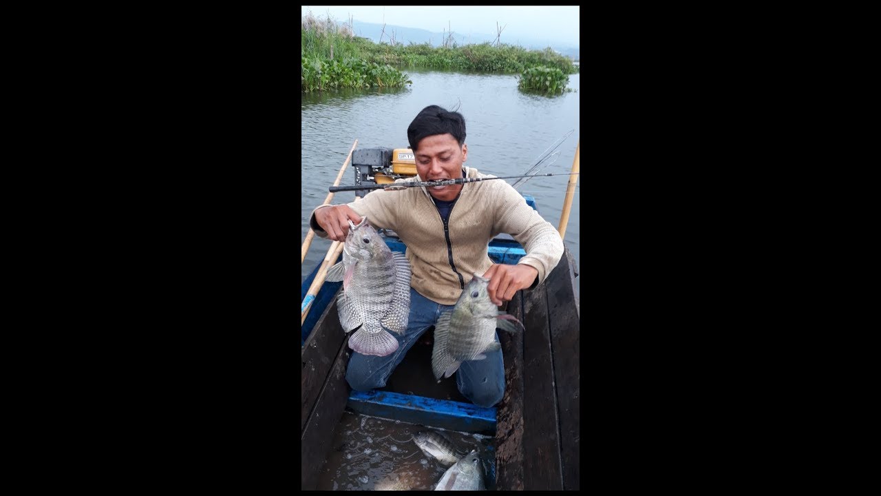 Panen Mujahir Babon RawaPening