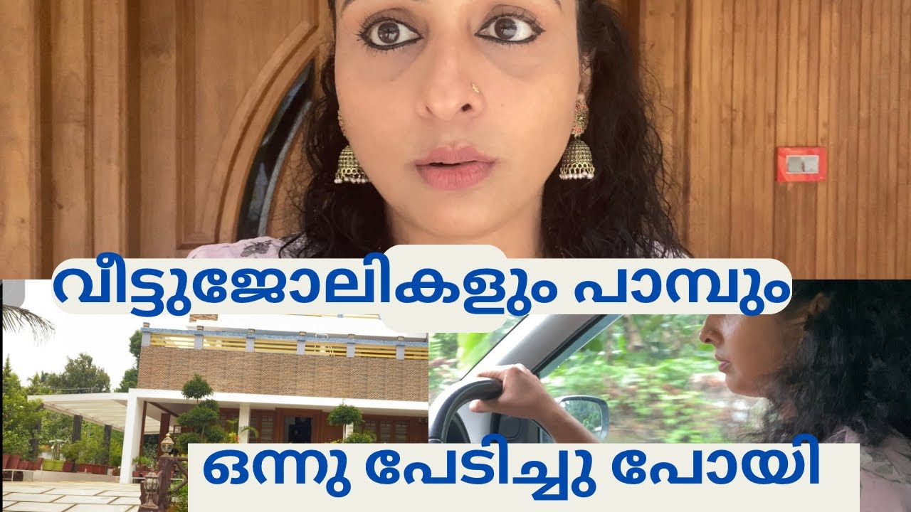 A day in my life 🏠 ഒന്നു പേടിച്ചു പോയി😮😮#house #day