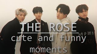 the rose [더로즈] | guide/ cute and funny moments ♥