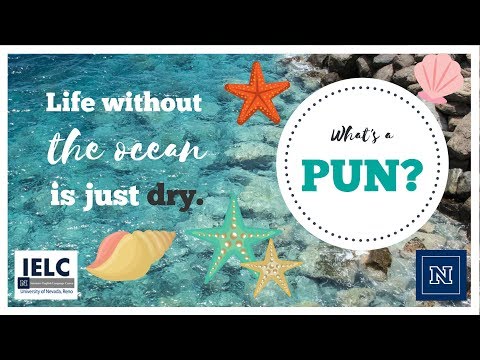 what-is-a-pun?-|-play-on-words-in-english