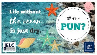 What is a pun? | Play on Words in English Information