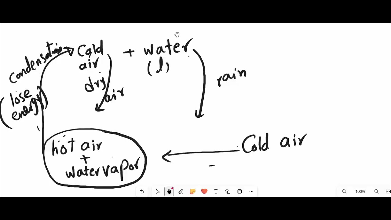 primary 6  winds