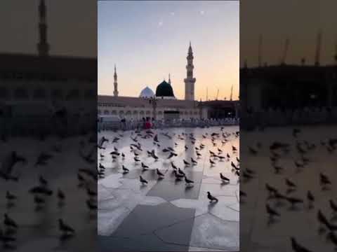 حالات واتس آب دينية أجمل صوت أذان تسمعه أذان الفجر 