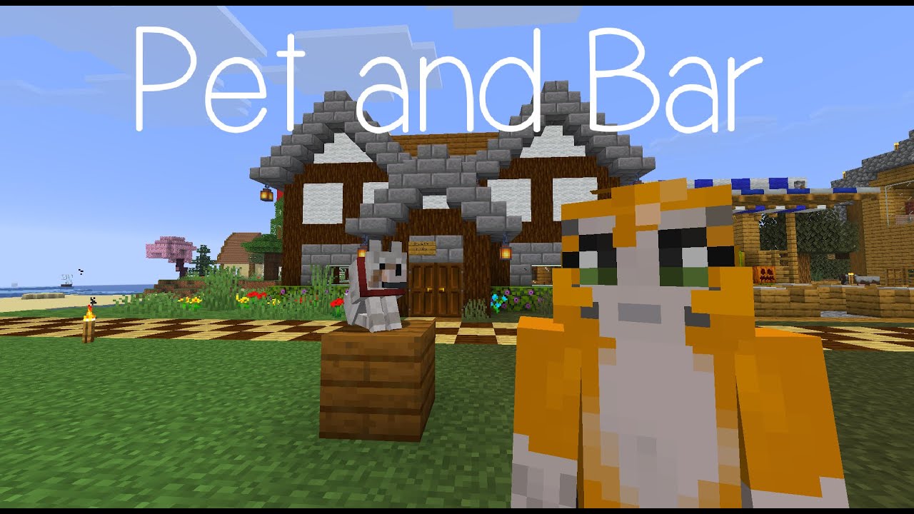 Gapinski's lovely world Ep22: Pet and Bar