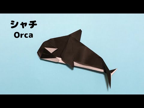 【折り紙 海の生き物】かっこいい シャチの折り方 Origami Orca